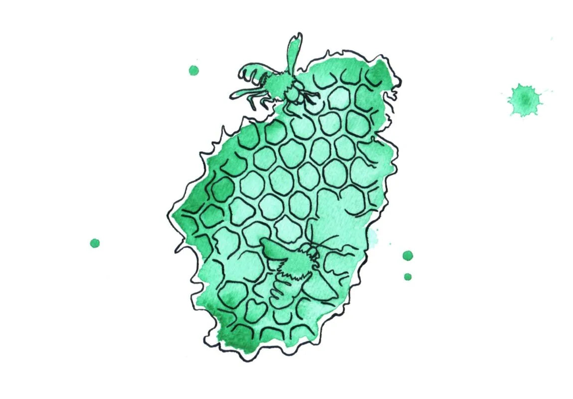 Jabón Natural de Miel y Cera de Abeja · Hidratante y Tonificante